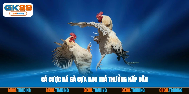 Cá cược đá gà cựa dao trả thưởng hấp dẫn