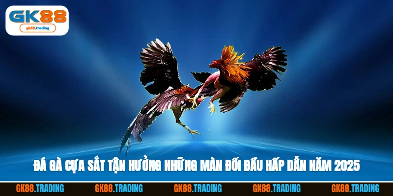 đá gà cựa sắt