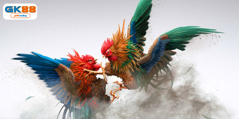 Tổng hợp các ưu điểm mà người chơi không thể bỏ qua khi chơi 