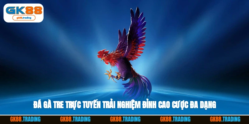 Đá gà tre trực tuyến: trải nghiệm đỉnh cao, cược đa dạng