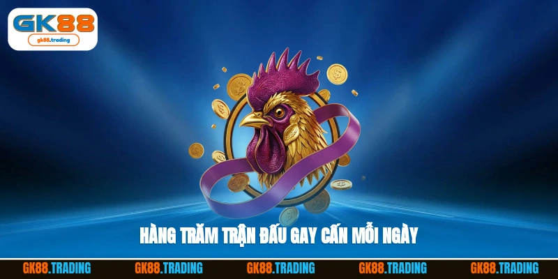 Hàng trăm trận đấu gay cấn hot mỗi ngày