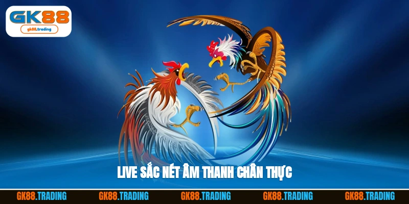 Live siêu sắc nét, âm thanh chân thực