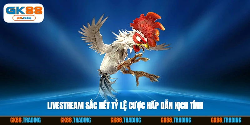 Livestream sắc nét, tỷ lệ cược hấp dẫn, kịch tính