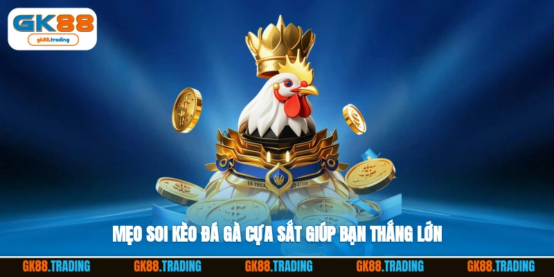 Mẹo soi kèo đá gà cựa sắt giúp bạn thắng lớn