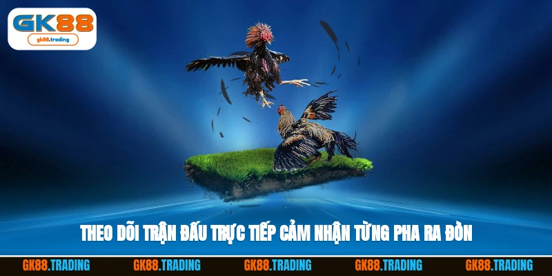 Theo dõi trận đấu trực tiếp, cảm nhận từng pha ra đòn